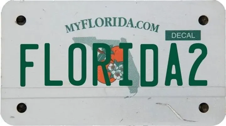 Google Florida Update 2