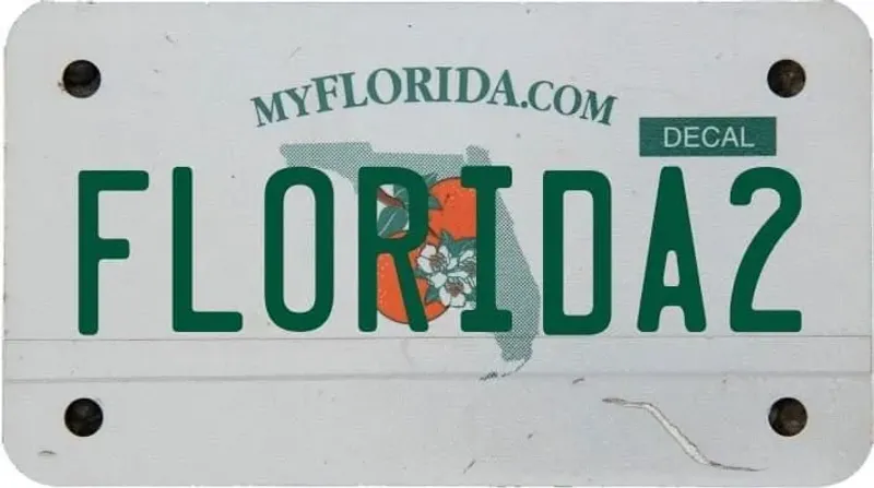 Google Florida Update 2