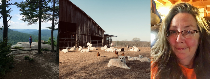 Margaret Petre image collage